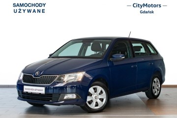 Skoda Fabia Ambition 1.0MPI 75KM, 2018, FakturaVAT23%, ASO, CityMotors