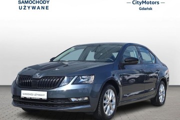 Octavia Ambition 1.5TSI 150KM, Faktura, ASO, SalonPL, CityMotors