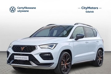 2.0 TSI 4Drive DSG 300 KM