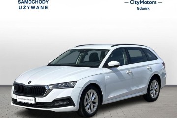 2.0 TDI 150 km Ambition DSG